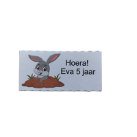 Konijn - stoepkrijt
