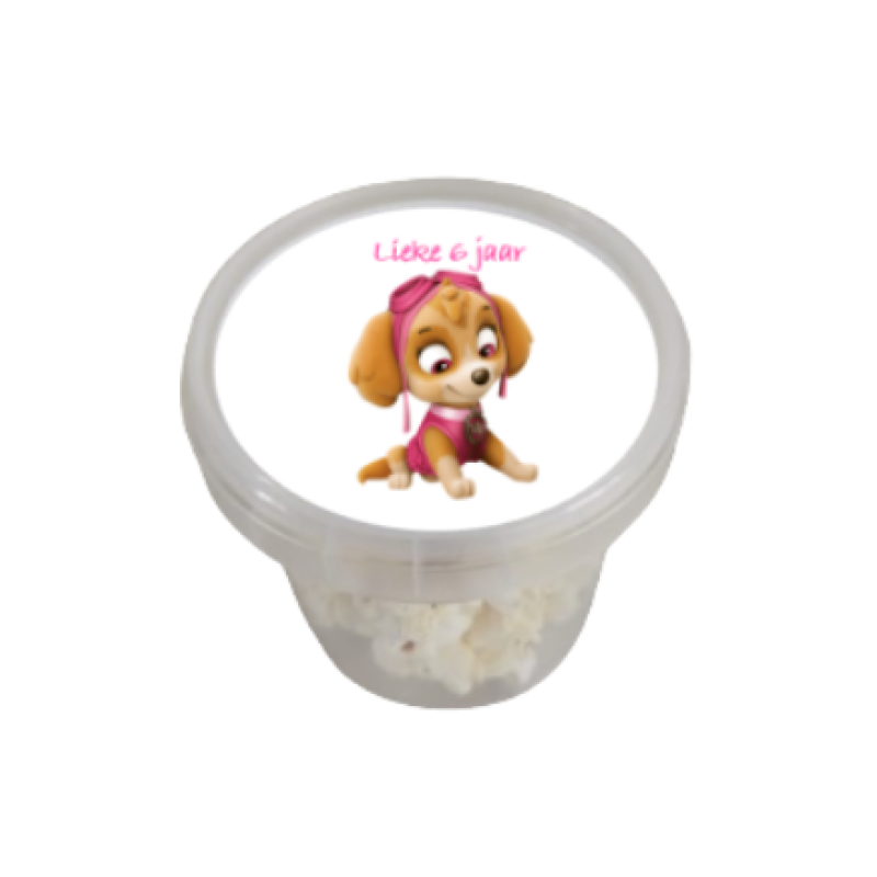 Bakje met deksel Paw Patrol meisjes