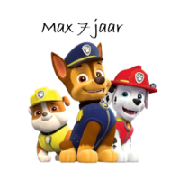 Bakje met deksel Paw Patrol jongens