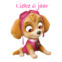 Bakje met deksel Paw Patrol meisjes