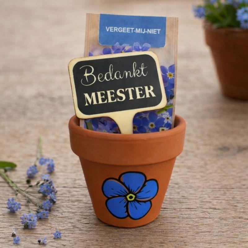 Vergeet mij niet Bloemenpot - zaad - steker voor Juf of Meester