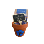 Vergeet mij niet Bloemenpot - zaad - steker voor Juf of Meester